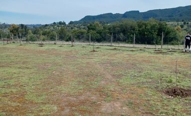 2023/310   HERMOSAS PARCELA SECTOR LIBUENO PELARCO