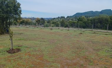2023/310   HERMOSAS PARCELA SECTOR LIBUENO PELARCO