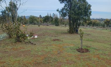 2023/310   HERMOSAS PARCELA SECTOR LIBUENO PELARCO
