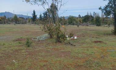 2023/310   HERMOSAS PARCELA SECTOR LIBUENO PELARCO