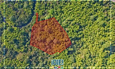 Terreno de 2.5 HA en venta, en Pacoche, Manta.