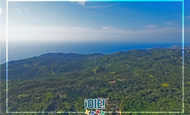 Terreno de 2.5 HA en venta, en Pacoche, Manta.