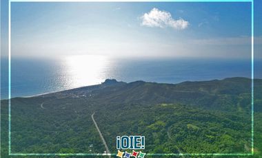 Terreno de 2.5 HA en venta, en Pacoche, Manta.