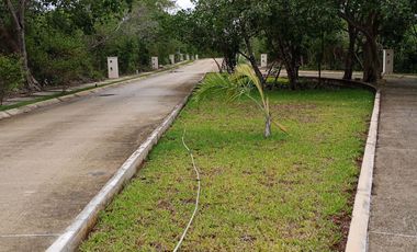 Lote 14 XAMAN HA 185 m2