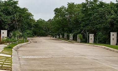 Lote 14 XAMAN HA 185 m2
