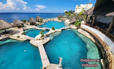 Departamento con jardín, alberca, Jacuzzi privado, en venta, Zona Hotelera Sur, Cozumel