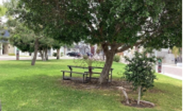 CASA EN RENTA EN CAÑADAS DEL LAGO NUEVA, 4 RECS. 4 BAÑOS, JARDIN, ESPACIOS AMPLIOS Y CONFORTABLES