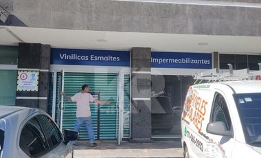 LOCAL COMERCIAL DE 135 METROS SOBRE AVENIDA DE ALTO FLUJO PEATONAL