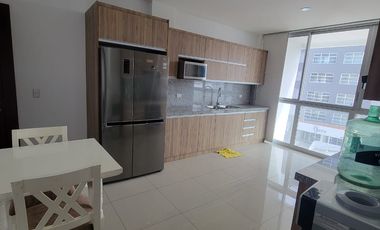 En alquiler amplio y lujoso departamento amoblado, Isla Mocoli, via a Samborondon