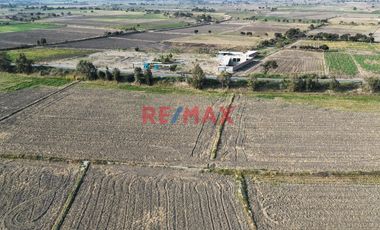 Venta De Terreno De 2.92 Ha En Ferreñafe.(K.MEJIA)