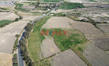 Venta De Terreno De 2.92 Ha En Ferreñafe.(K.MEJIA)