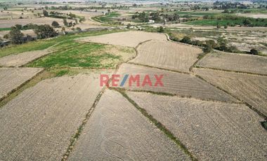 Venta De Terreno De 2.92 Ha En Ferreñafe.(K.MEJIA)