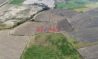Venta De Terreno De 4 Ha En Ferreñafe.(K.MEJIA)