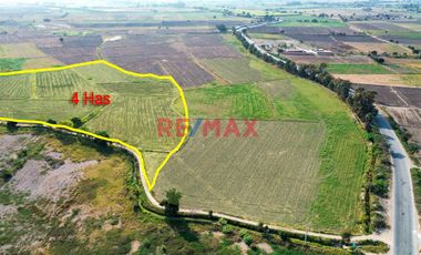 Venta De Terreno De 4 Ha En Ferreñafe.(K.MEJIA)