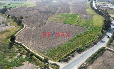 Venta De Terreno De 4 Ha En Ferreñafe.(K.MEJIA)