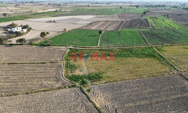 Venta De Terreno De 4 Ha En Ferreñafe.(K.MEJIA)