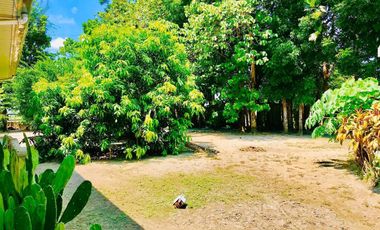 House for Rent in Capas, Tarlac