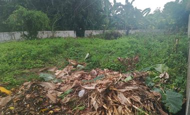 For Sale Leasehold Land in Umalas Tunon