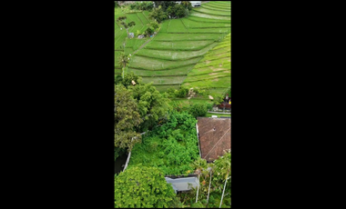 For Sale Leasehold Land in Umalas Tunon
