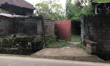 RARE! 2,450 Sqm Freehold Land for Sale With Views Of Rice Field on Sayan Main Road, Ubud