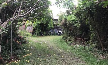 RARE! 2,450 Sqm Freehold Land for Sale With Views Of Rice Field on Sayan Main Road, Ubud