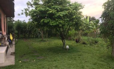 RARE! 2,450 Sqm Freehold Land for Sale With Views Of Rice Field on Sayan Main Road, Ubud