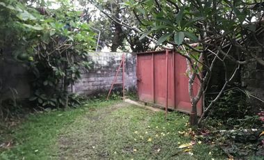 RARE! 2,450 Sqm Freehold Land for Sale With Views Of Rice Field on Sayan Main Road, Ubud