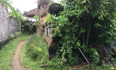 RARE! 2,450 Sqm Freehold Land for Sale With Views Of Rice Field on Sayan Main Road, Ubud