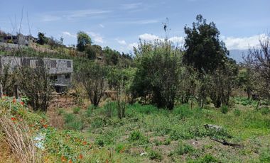 ¡TERRENO EN  VENTA EN PINLLO!
