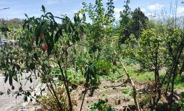 ¡TERRENO EN  VENTA EN PINLLO!