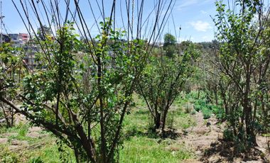 ¡TERRENO EN  VENTA EN PINLLO!