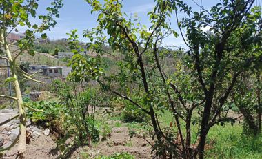 ¡TERRENO EN  VENTA EN PINLLO!