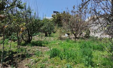 ¡TERRENO EN  VENTA EN PINLLO!