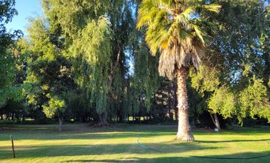 VENTA DE PARCELA CON CASA EN PEÑAFLOR