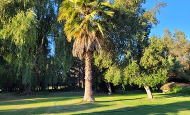 VENTA DE PARCELA CON CASA EN PEÑAFLOR