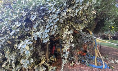 VENTA DE PARCELA CON CASA EN PEÑAFLOR
