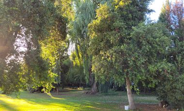 VENTA DE PARCELA CON CASA EN PEÑAFLOR