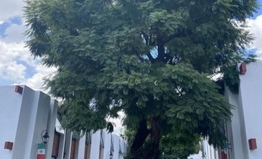 Duplex en coyoacan