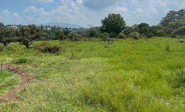 Venta Terreno en Jiloteped