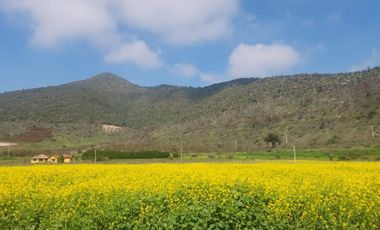 VENTA DE PARCELAS EN CONDOMINIO, SAN ANTONIO DE NALTAHUA, ISLA DE MAIPO, ROL PROPIO.