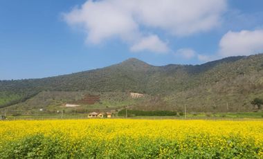 VENTA DE PARCELAS EN CONDOMINIO, SAN ANTONIO DE NALTAHUA, ISLA DE MAIPO, ROL PROPIO.