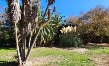 VENTA DE PARCELA EN CONDOMINIO, SECTOR CARAMPANGUE, ISLA DE MAIPO.