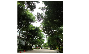 88079 - ขาย / เช่า บ้านเดี่ยวสองชั้น Inizio ขอนแก่น