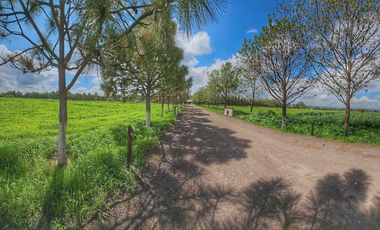 Residencial Hacendara