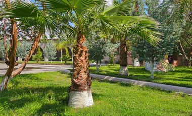 Residencial Hacendara