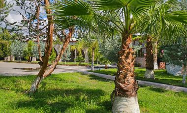 Residencial Hacendara