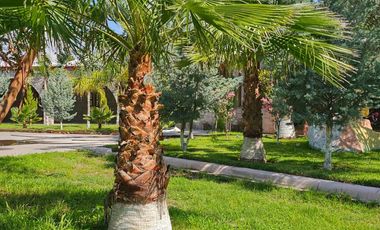 Residencial Hacendara