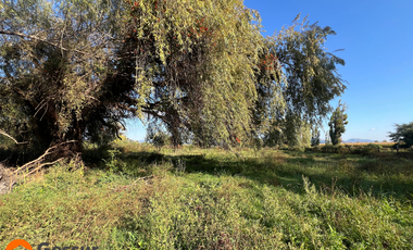 Venta de Terreno de 1.18ha En Villa Alegre, Maule
