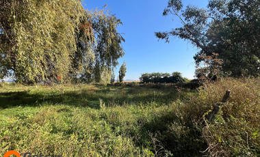 Venta de Terreno de 1.18ha En Villa Alegre, Maule