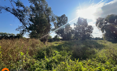 Venta de Terreno de 1.18ha En Villa Alegre, Maule
